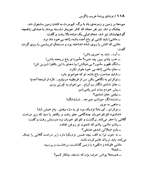 توشای پرنده غریب زاگرس - نمونه چهارم - جزیره کتاب های الکترونیکی